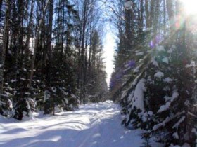 Нацпарк "Завидово". Фото с сайта tourism.bmstu.ru