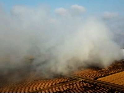 Дым со свалки. Фото: РК-инфо Дым со свалки. Фото: РК-инфо